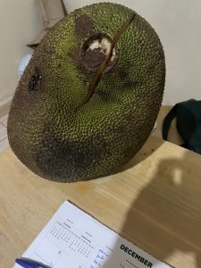 Jackfruit
