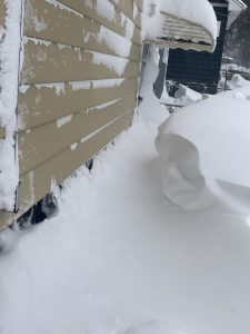 More Blizzard Photos