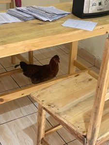 The Chicken is in the Kitchen
