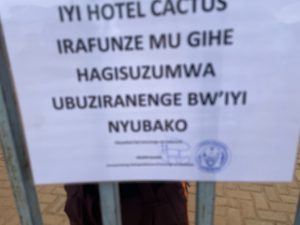No Cactus